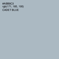 #ABB9C3 - Cadet Blue Color Image